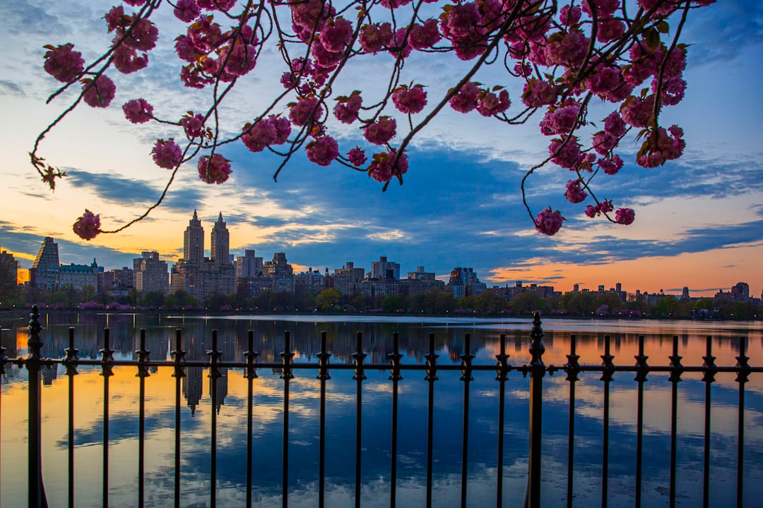 a view of a city from across a lake