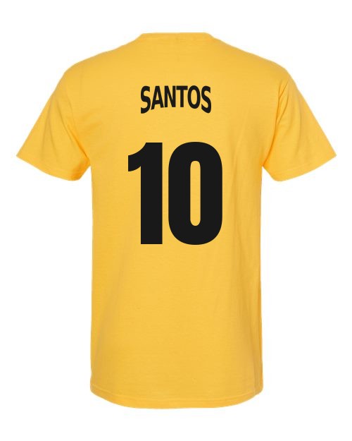 custom-crest-soccer-tee-2026 example BRA back